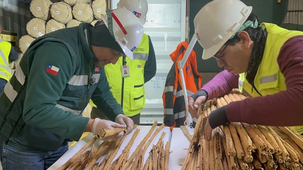Importación de productos agrícolas y de origen pecuario: principales inspecciones realizadas por el SAG en los puertos de Biobío