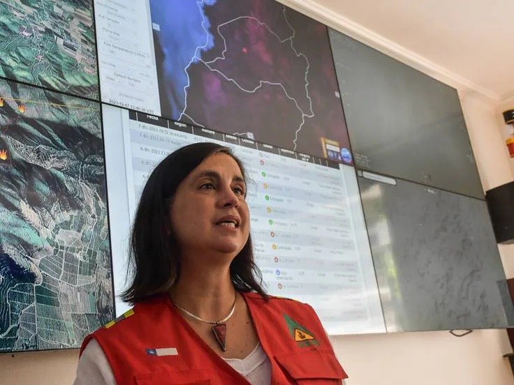 Subsecretaria de Agricultura y el monitoreo de incendios forestales: “La zona de principal preocupación está entre el Maule y la Araucanía”