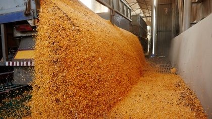 Argentina: Facturación por exportaciones de soja y maíz rondaría los USD 28.700 millones