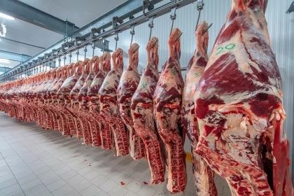 Argentina comienza trámite para exportar carne vacuna con certificación kosher a Israel