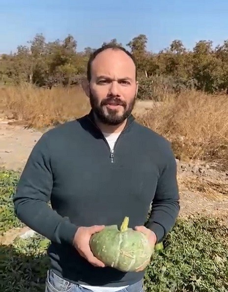 Nueva ficha técnica: zapallos de guarda chilenos con alto valor nutricional