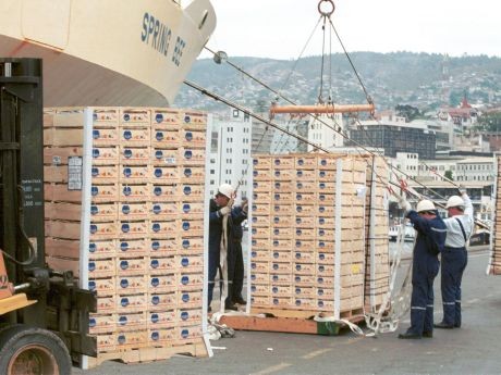 Exportaciones de frutas registran 3,2 millones de toneladas según últimas cifras entregadas por ODEPA