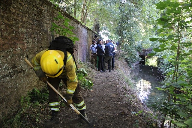 Con supervisión a construcción de cortafuegos en Cerro Ñielol llaman a prevenir incendios forestales