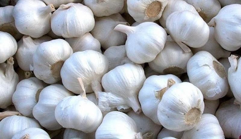 Perú: Exportaciones de ajo caen en volumen -21.9% en diciembre de 2023