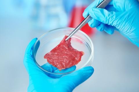 ¿Qué posturas mantienen los diferentes países de la UE ante las proteínas de laboratorio?