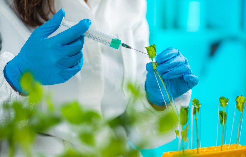 Unión Europea avanza hacia la adopción de la edición genética en la agricultura