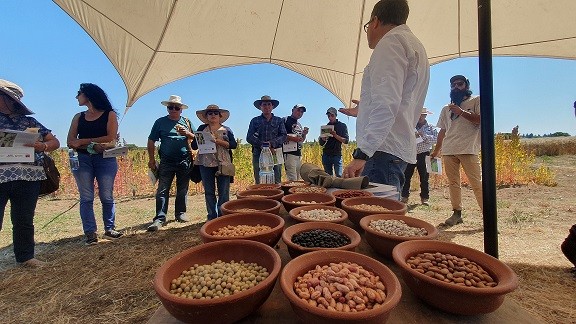 Pequeños agricultores del Secano aprenden rescate de granos tradicionales y ancestrales
