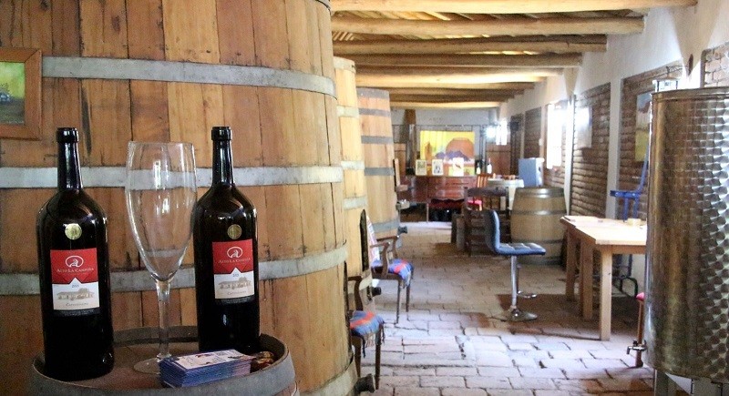 Vinos de pequeños agricultores obtienen premios en evento regional