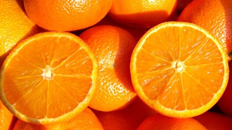 USDA: Producción mundial de naranja totalizará 48,8 millones de toneladas en campaña 2023-2024