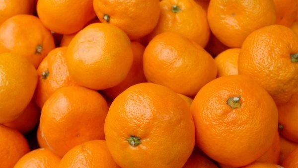Europa: Lanzan nuevas variedades de easy peelers
