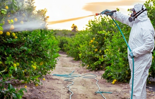 USDA destaca bajos residuos de plaguicidas en alimentos