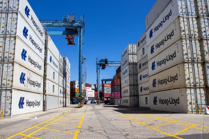 TPS marcó nuevo récord de transferencia de cerezas con 213 mil toneladas movilizadas