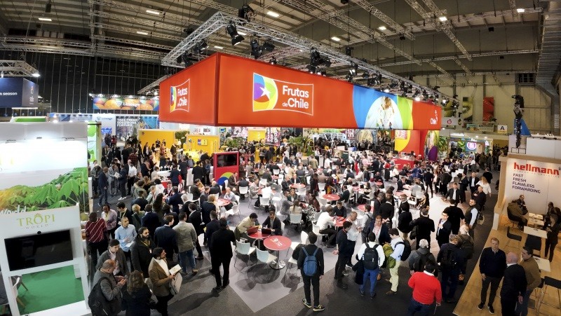 Alemania: Frutas de Chile lanza su nueva marca a nivel internacional en “Fruit Logistica 2024”