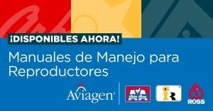 Aviagen Publica Nuevos Manuales de Manejo de Reproductores para las Marcas Arbor Acres, Indian River y Ross