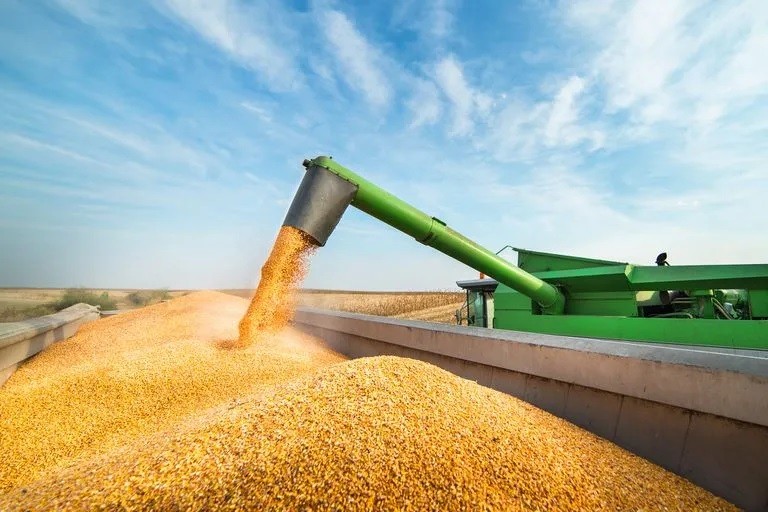 Argentina: De lo que exporta el país el 55 % le corresponde a la agroindutria