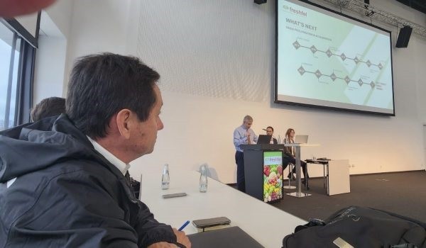 Frutas de Chile se reúne con Freshfel Europe: Analizan situación de importaciones y exportaciones de frutas y verduras en Europa