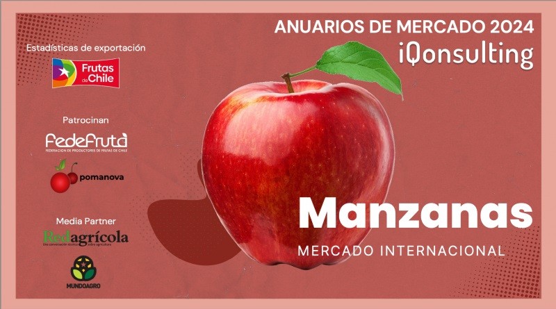 Anuario 2024 “Mercado Internacional de Manzanas” de IQonsulting: Se contrae exportación mundial de manzanas y Chile muestra recambio varietal en 2023
