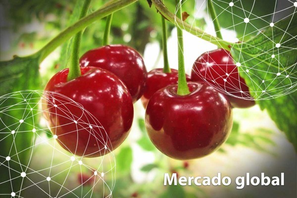 Resumen del mercado global de la cereza