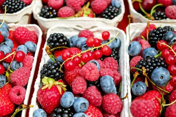 EEUU: Productores de berries proyectan aumento de volúmenes en nueva campaña