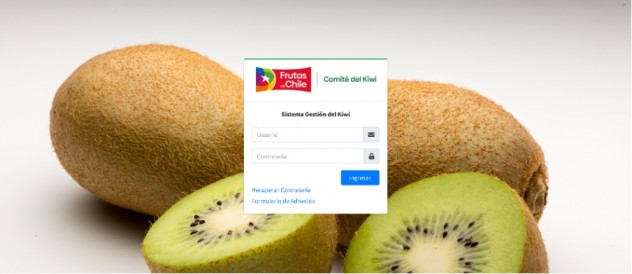 Comité del Kiwi de Frutas de Chile impulsa nueva plataforma informática: “Sistema Gestión del Kiwi” para apoyar a los productores