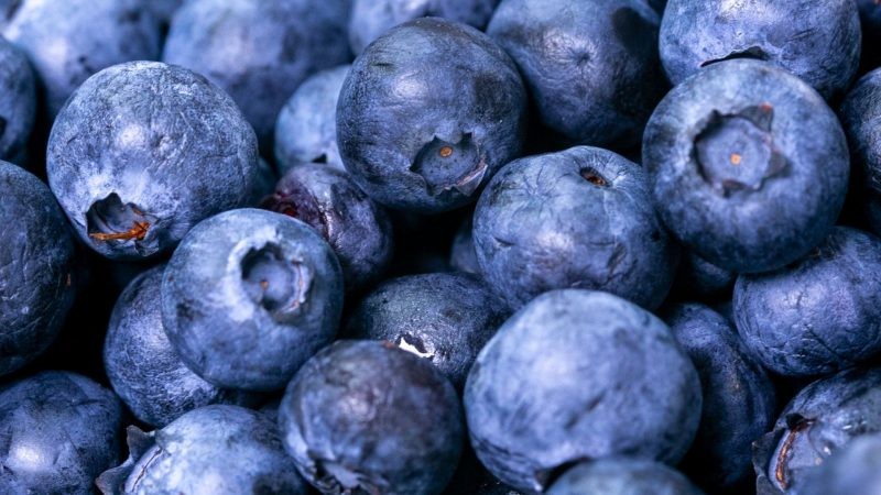 India baja arancel a las exportaciones de arándanos chilenos