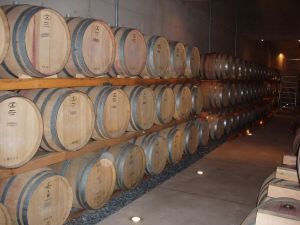 SAG presenta Informe de Existencias de Vinos a Granel 2023