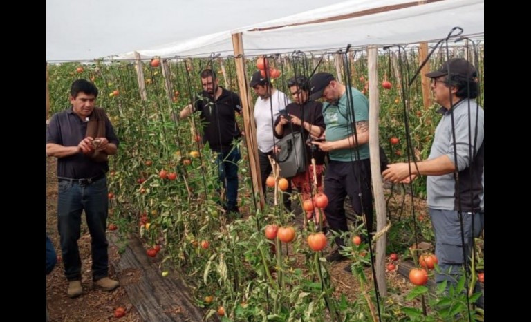 Regantes del Limarí apuestan por el riego por goteo para optimizar el recurso hídrico