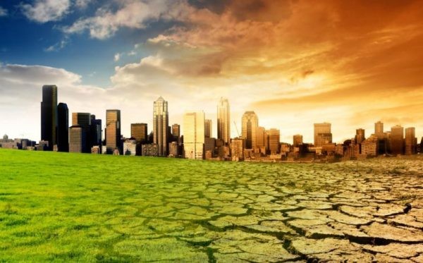 Perspectiva climática para la industria de ciruelas: de dulce y agraz