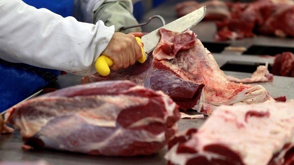 Exportaciones de carne bovina boliviana creció 38% en 2023