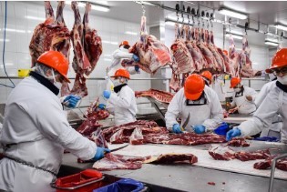 ARGENTINA PODRÍA AUMENTAR UN 30% SU PRODUCCIÓN DE CARNE VACUNA: QUÉ CONDICIONES NECESITA