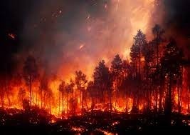Chile: Cámara de Diputados aprueba ley de incendios