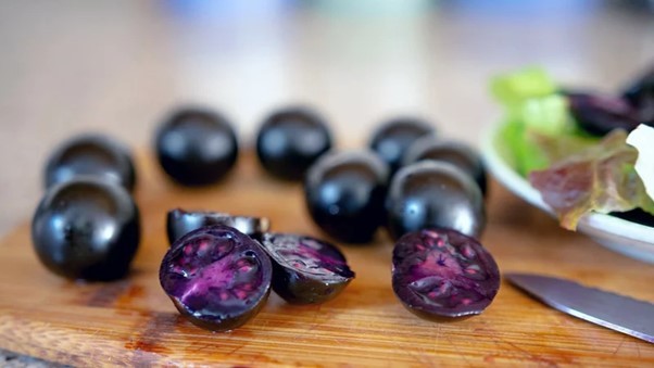 Lanzan al mercado tomate morado biotecnológico con alto nivel de antioxidantes y antocianinas