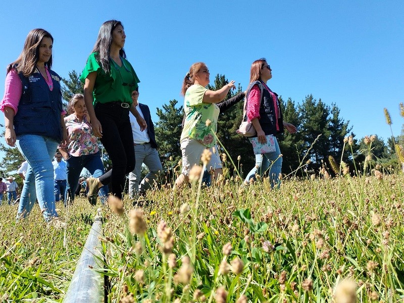 CNR destaca rol de la mujer en el riego y bonifica a pequeñas agricultoras de Biobío