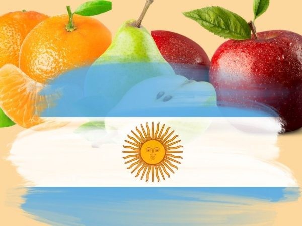 Frutas de Chile y anuncio de Argentina de incluir productos importados en canasta básica exceptuándolos de impuestos
