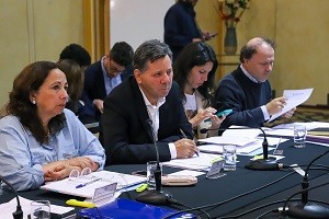Senado retoma discusión del proyecto de ley que creará el Servicio Nacional Forestal