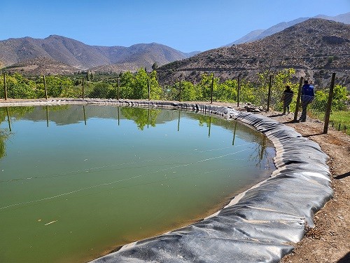 Pequeña agricultora de Salamanca valora construcción de embalse y nuevo sistema de riego para mejorar gestión hídrica