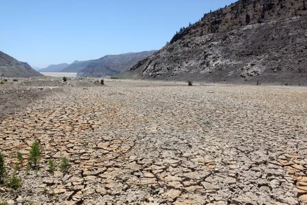 Pérdidas por sequía en Coquimbo llegan casi a US$170 millones