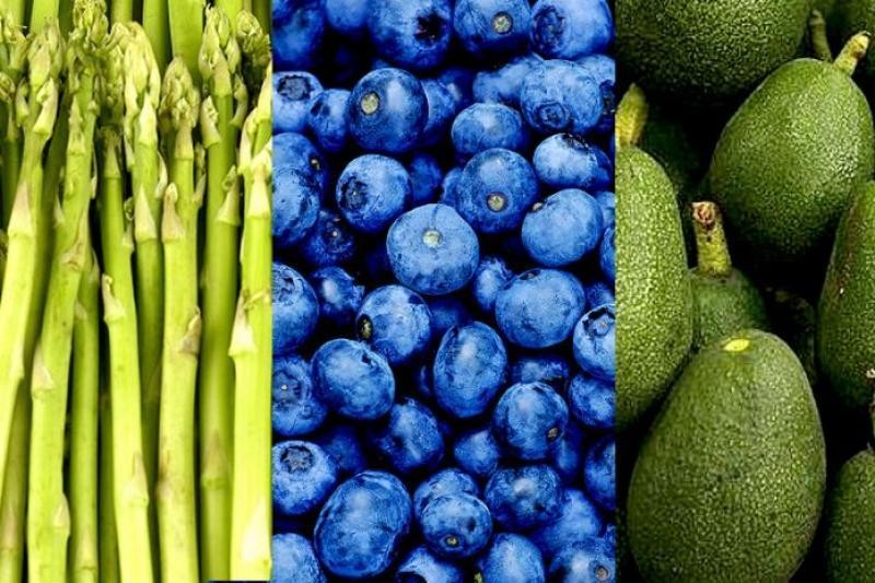 Perú: Exportaciones agroindustriales de La Libertad sumaron US$ 1.950 millones en 2023, cifra que representa un crecimiento de 5%