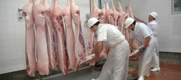 Argentina: Cifras sin precedentes: La faena porcina en 2023 alcanzó niveles históricos