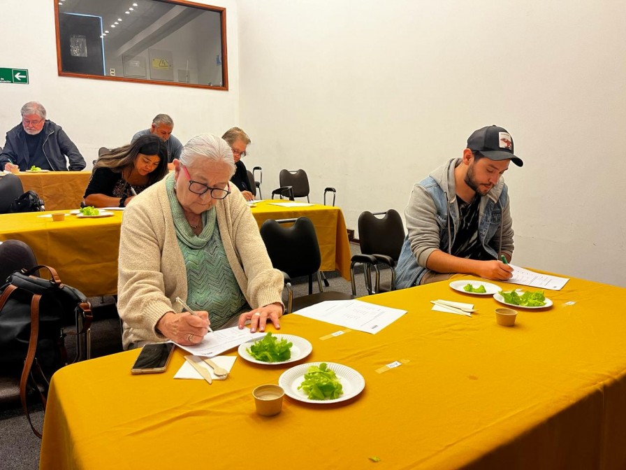 Estudio inédito permitirá analizar diferencias entre lechugas hidropónicas y acuipónicas