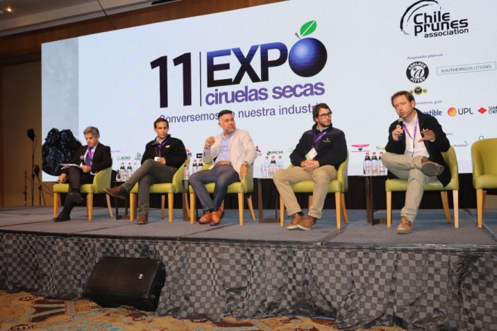 Expo Ciruelas Secas 2024: Junto a la oportunidad presente en China e India, llamaron a cuidar los mercados “clásicos” de la ciruela chilena