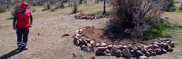 CONAF restaura bosques nativos degradados en la Región de Valparaíso