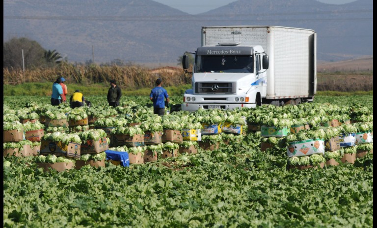 DE ACUERDO A UN ESTUDIO DE GPS PROPERTY: Agricultura registra pérdidas por 170 millones de dólares debido a la sequía