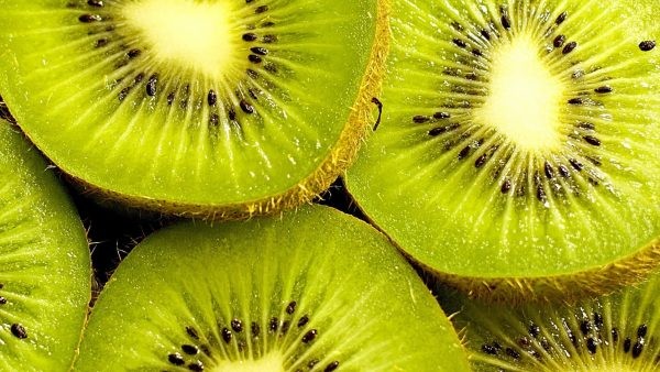 Grecia finaliza exitosa campaña de kiwis: Alza de producción y demanda