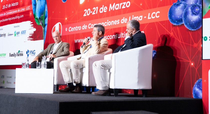 Algunas conclusiones del encuentro de la industria del arándano en Lima