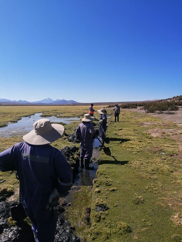 CONAF y CONADI implementan restauración de bofedales a través de prototipo de glaciares artificiales