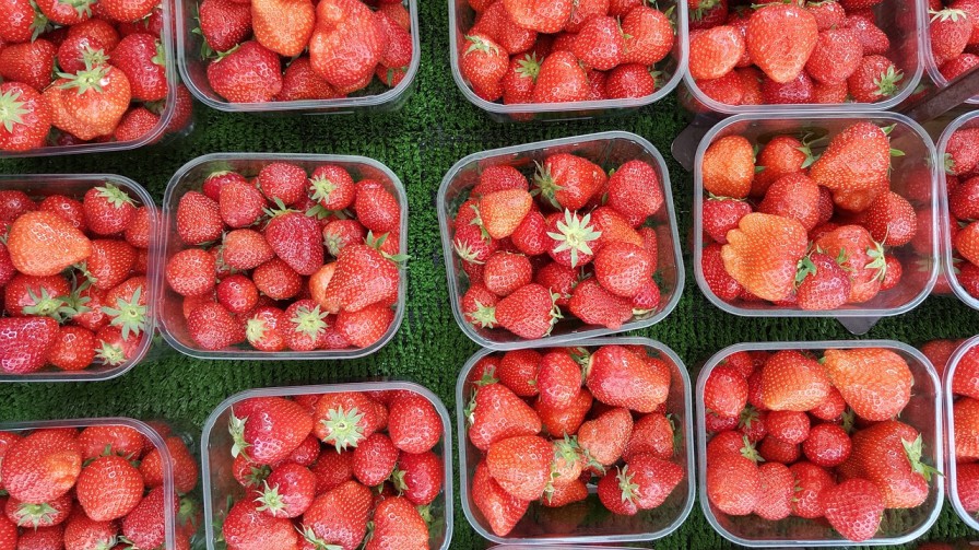 Distribución de alimentos: ¿Cuál es la tecnología clave para la eficiencia y rapidez de este proceso?