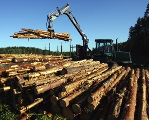 Producción manufacturera de la Región del Biobío aumentó 19,2% en la comparación interanual