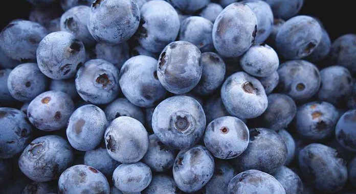 Chile cierra temporada con exportación de arándanos de 86 mil toneladas enviadas