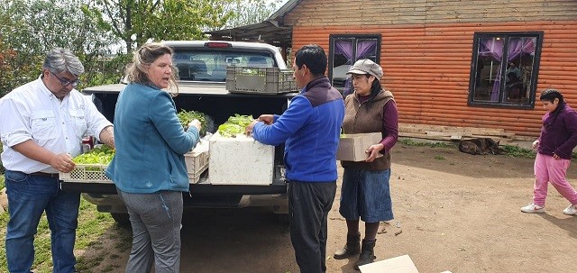 Por tercer año consecutivo expertos UdeC trabajarán en técnicas agrarias con comunidad mapuche